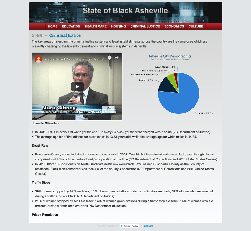 State of Black Asheville criminal justice overview section.